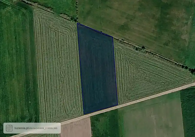 Działka na sprzedaż Leśniewo