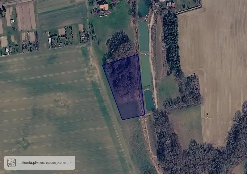 Działka na sprzedaż Biechów