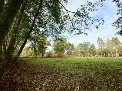 Zdjęcie 5
