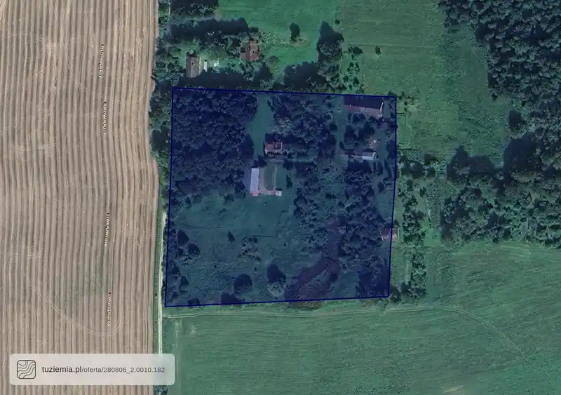 Działka na sprzedaż Leśniewo