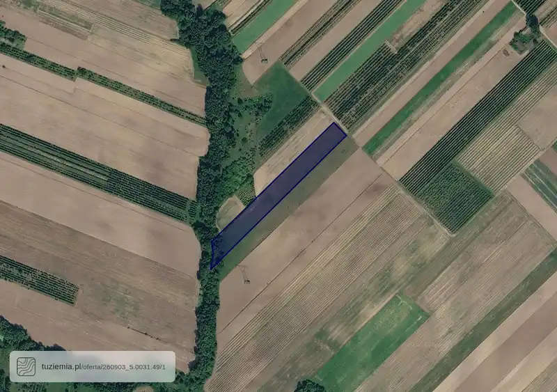 Działka na sprzedaż Śniekozy