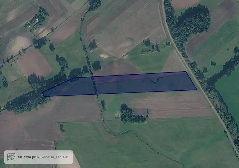 Działka na sprzedaż Murawiec - Żuki