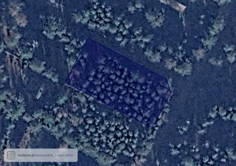 Działka na sprzedaż Niesiołowice