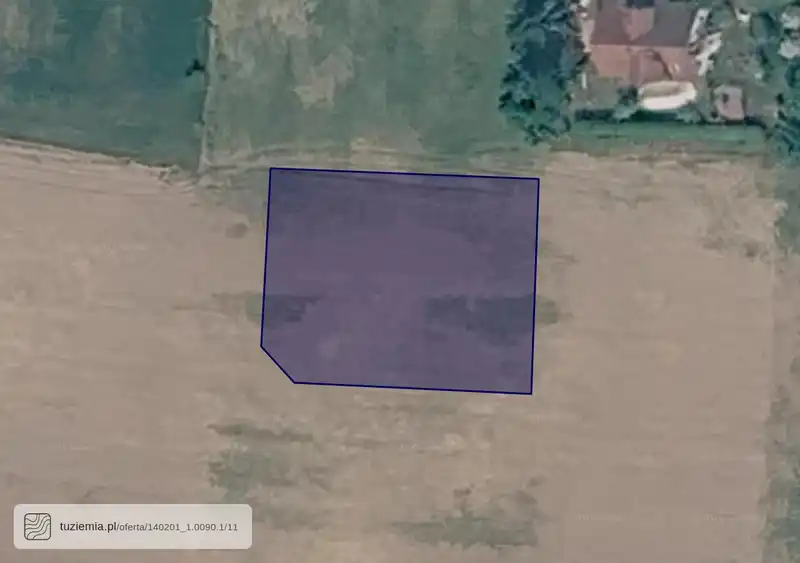 Działka na sprzedaż Niechodzin-Bielin