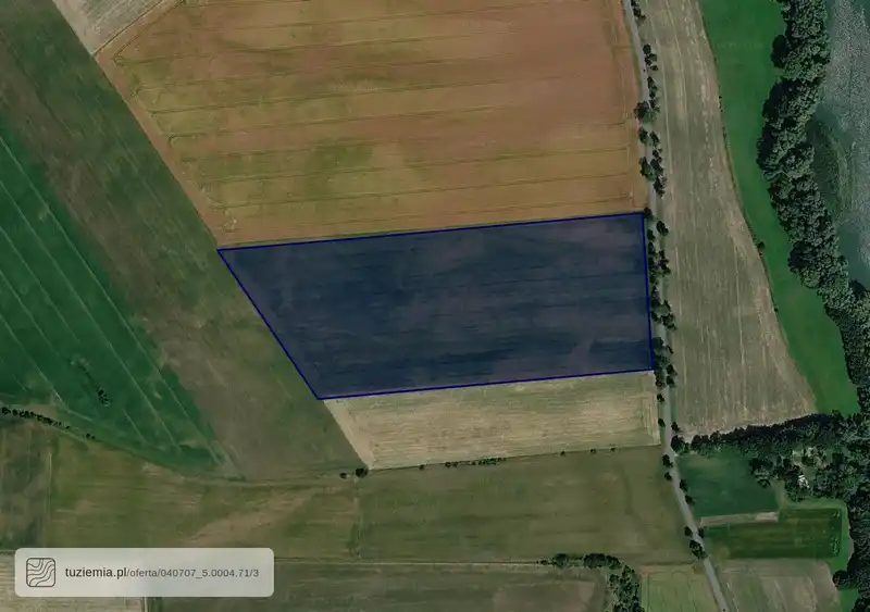 Działka na sprzedaż Jankowo