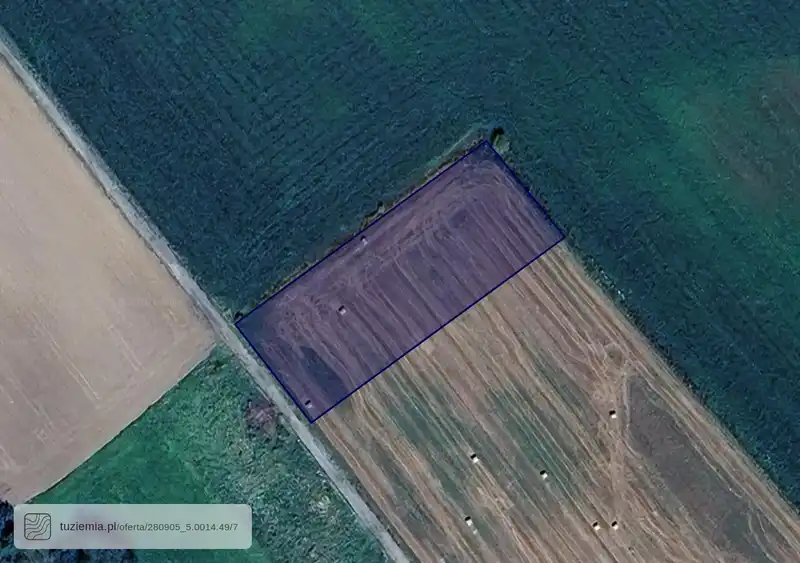 Działka na sprzedaż Opin