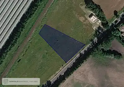 Zdjęcie 5