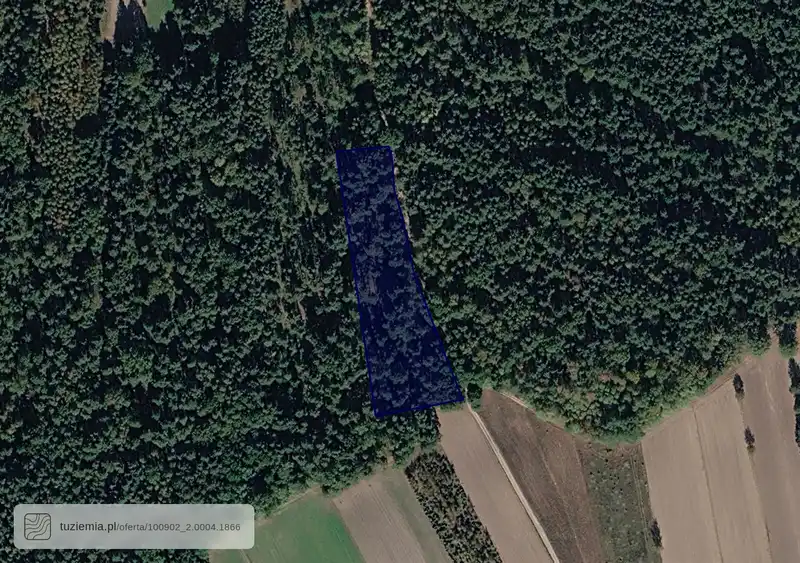 Działka na sprzedaż Chorzew