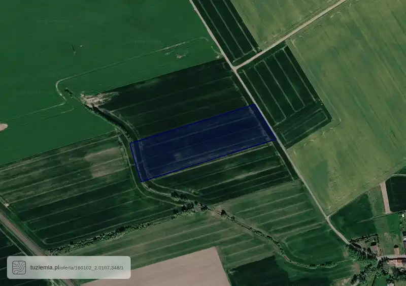 Działka na sprzedaż Brzezina