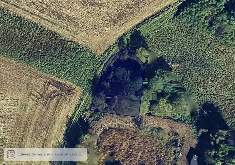 Działka na sprzedaż Włodowice