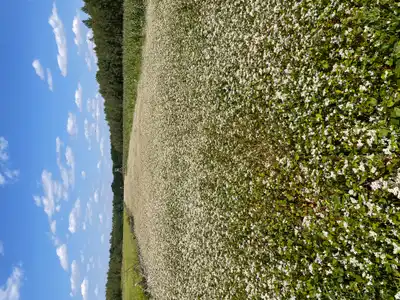 Zdjęcie 2