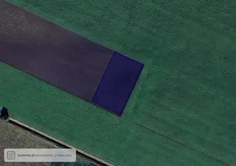 Działka na sprzedaż Dziemionna