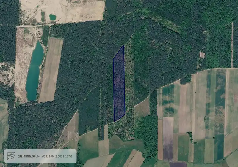 Działka na sprzedaż Rzechówek