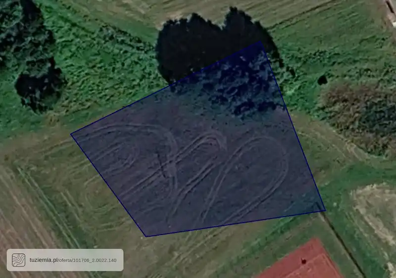 Działka na sprzedaż Skrzynno