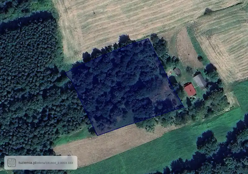 Działka na sprzedaż Wola Rafałowska