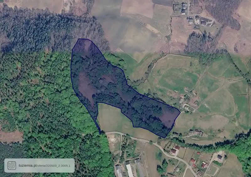 Działka na sprzedaż Grzybno