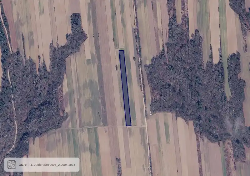 Działka na sprzedaż Brzeziny