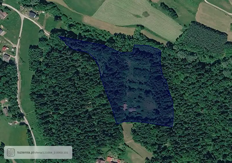Działka na sprzedaż Chodorowa