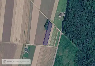 Zdjęcie 5