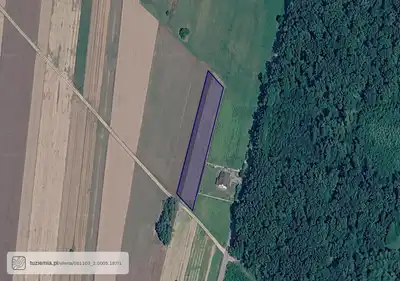 Zdjęcie 5