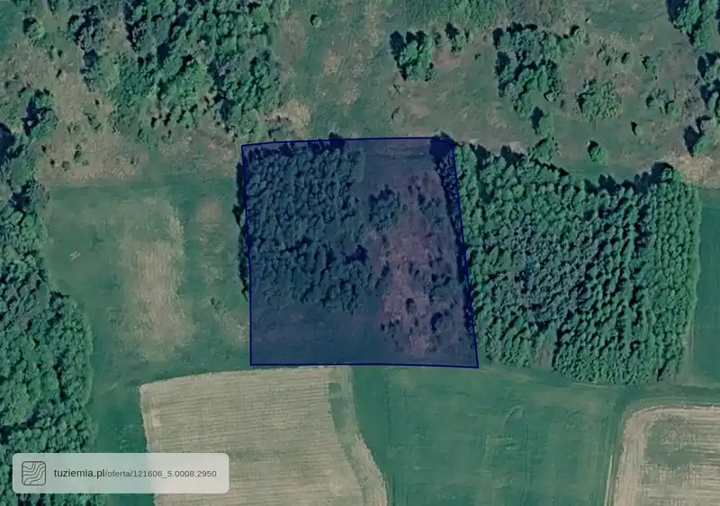 Działka na sprzedaż Zalasowa