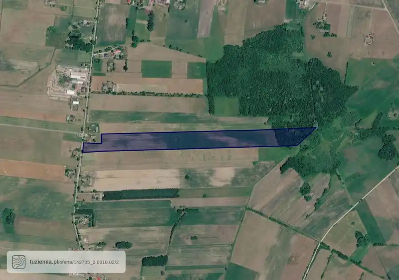 Działka na sprzedaż Kręćkowo