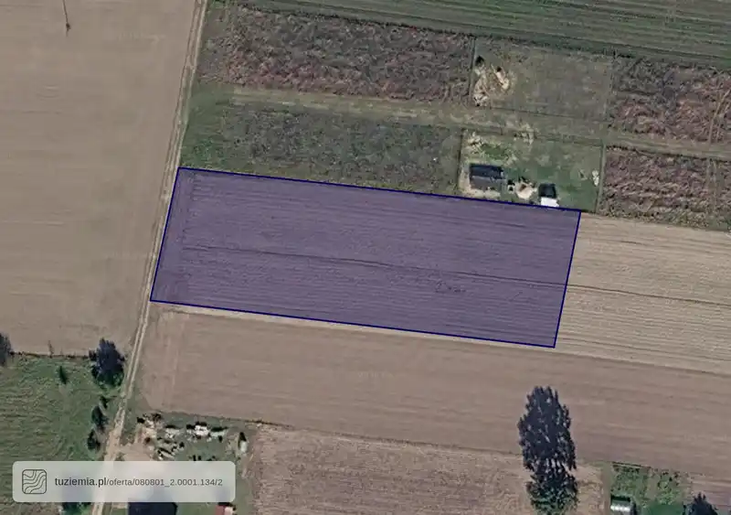 Działka na sprzedaż Boryszyn