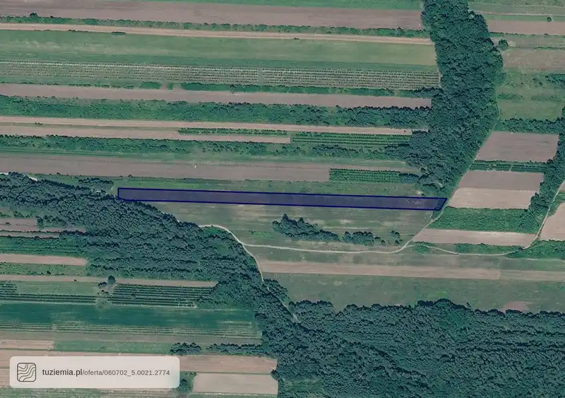 Działka na sprzedaż Świeciechów Duży