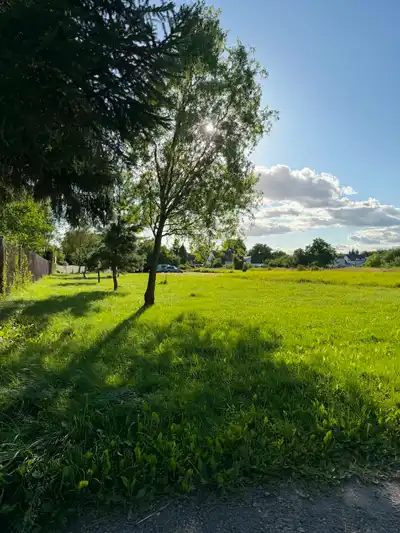 Zdjęcie 8