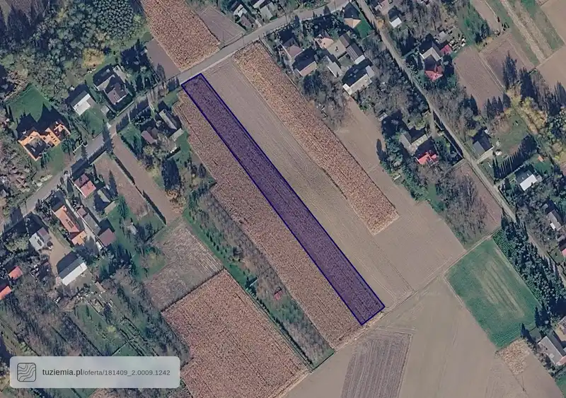 Działka na sprzedaż Żurawiczki