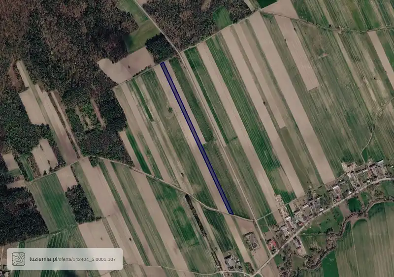 Działka na sprzedaż Białowieża