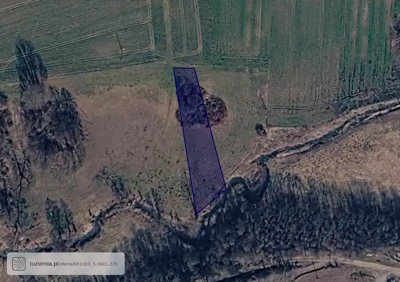 Działka na sprzedaż Ciechanki Krzesimowskie