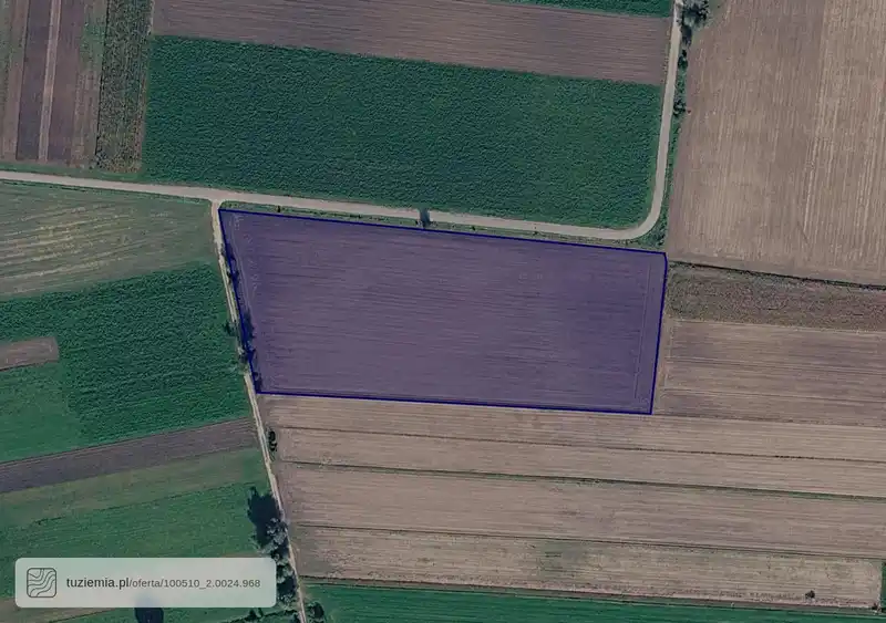 Działka na sprzedaż Złaków Kościelny