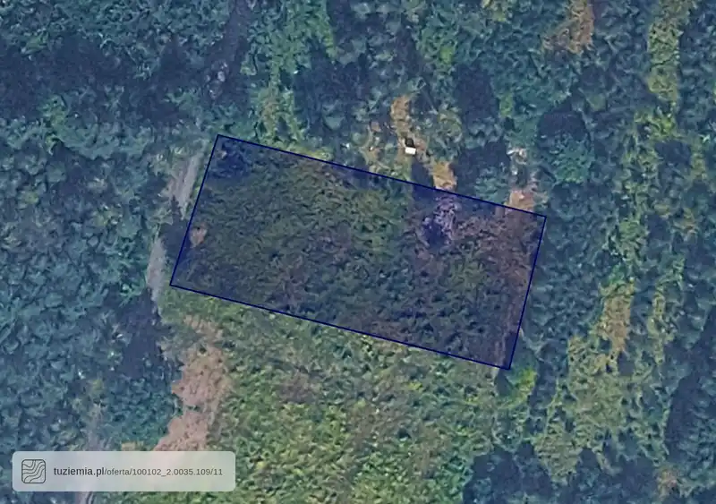Działka na sprzedaż Wola Mikor.-Zalesna