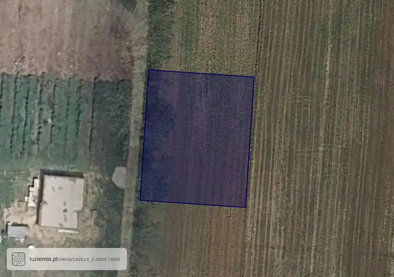 Działka na sprzedaż Zbuczyn