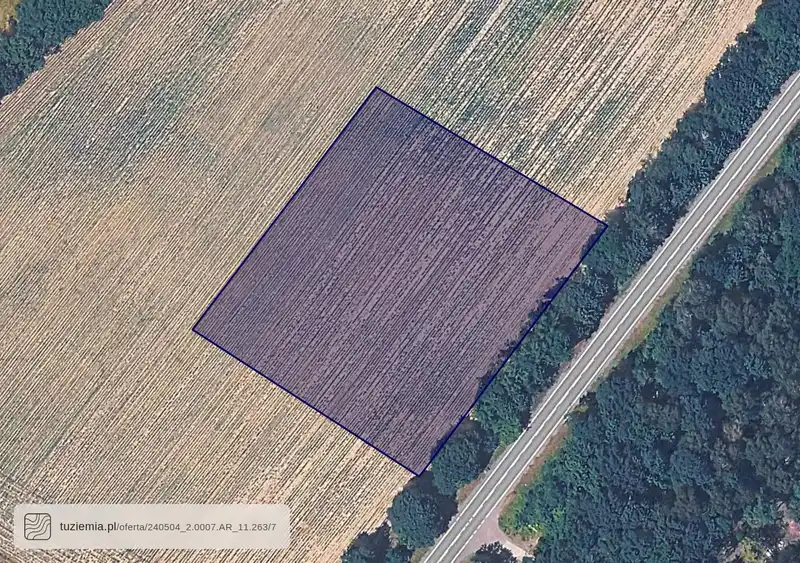 Działka na sprzedaż Wilcza