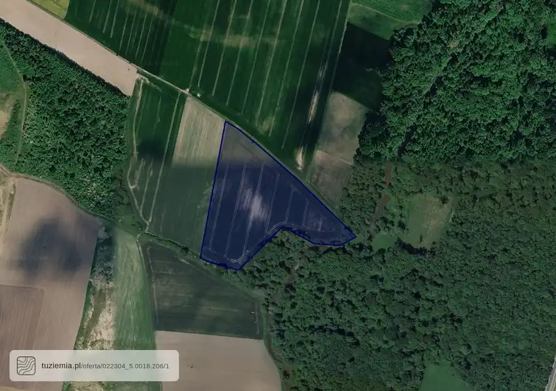 Działka na sprzedaż Pełcznica