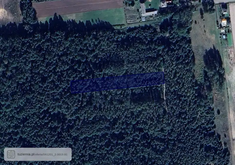 Działka na sprzedaż Siewalka