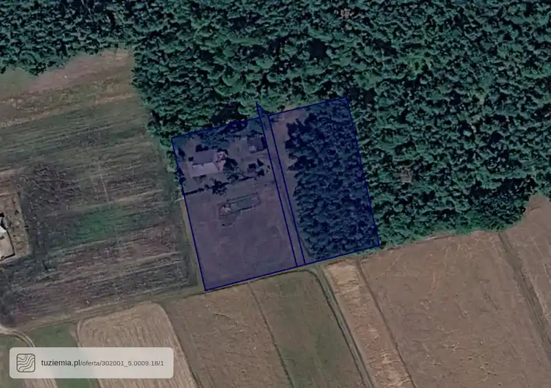 Działka na sprzedaż Nowolipsk