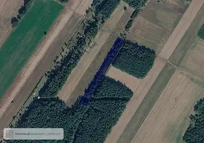 Zdjęcie 2