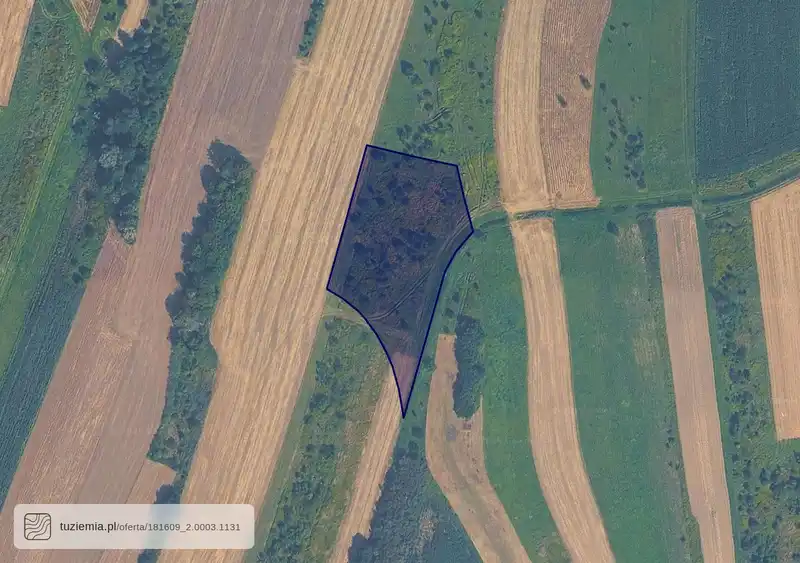 Działka na sprzedaż Palikówka