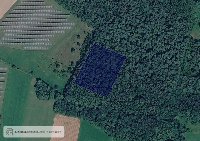 Działka na sprzedaż Uziębły