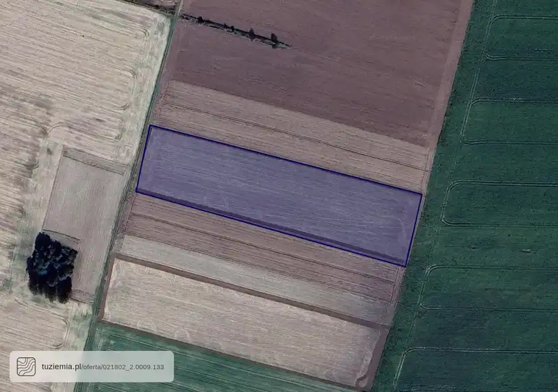 Działka na sprzedaż Szymanów