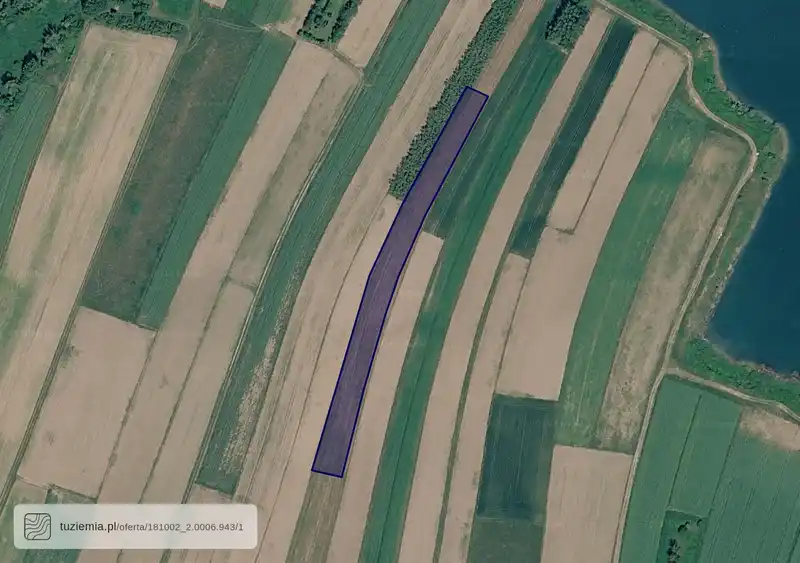 Działka na sprzedaż Wola Dalsza