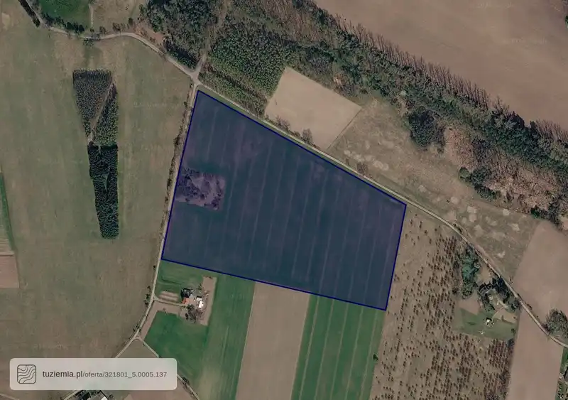 Działka na sprzedaż Anielino