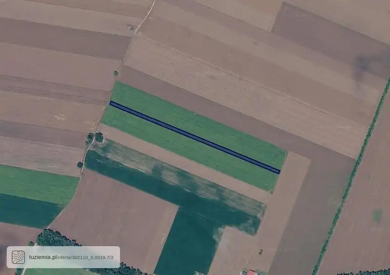 Działka na sprzedaż Rogalin
