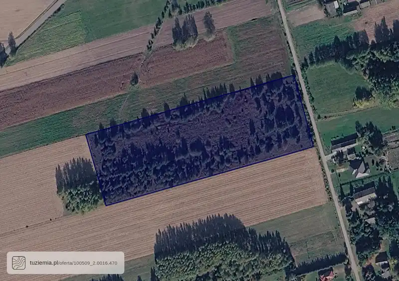 Działka na sprzedaż Nieborów