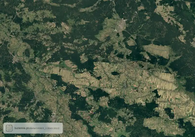 Działka na sprzedaż Dąbrowica