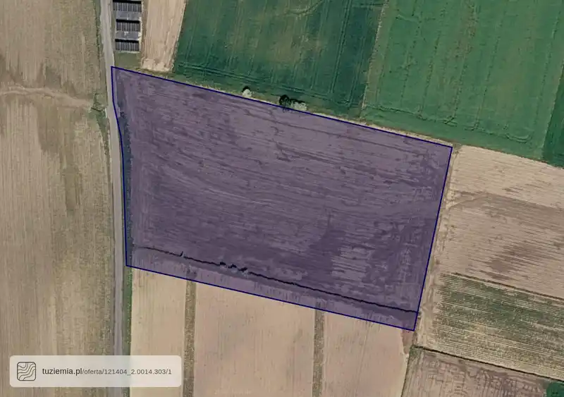 Działka na sprzedaż Winiary