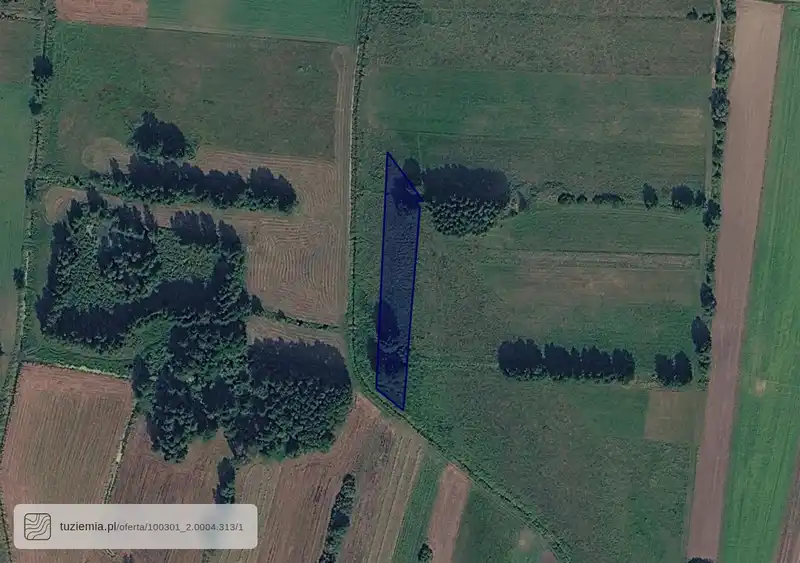 Działka na sprzedaż Buczek